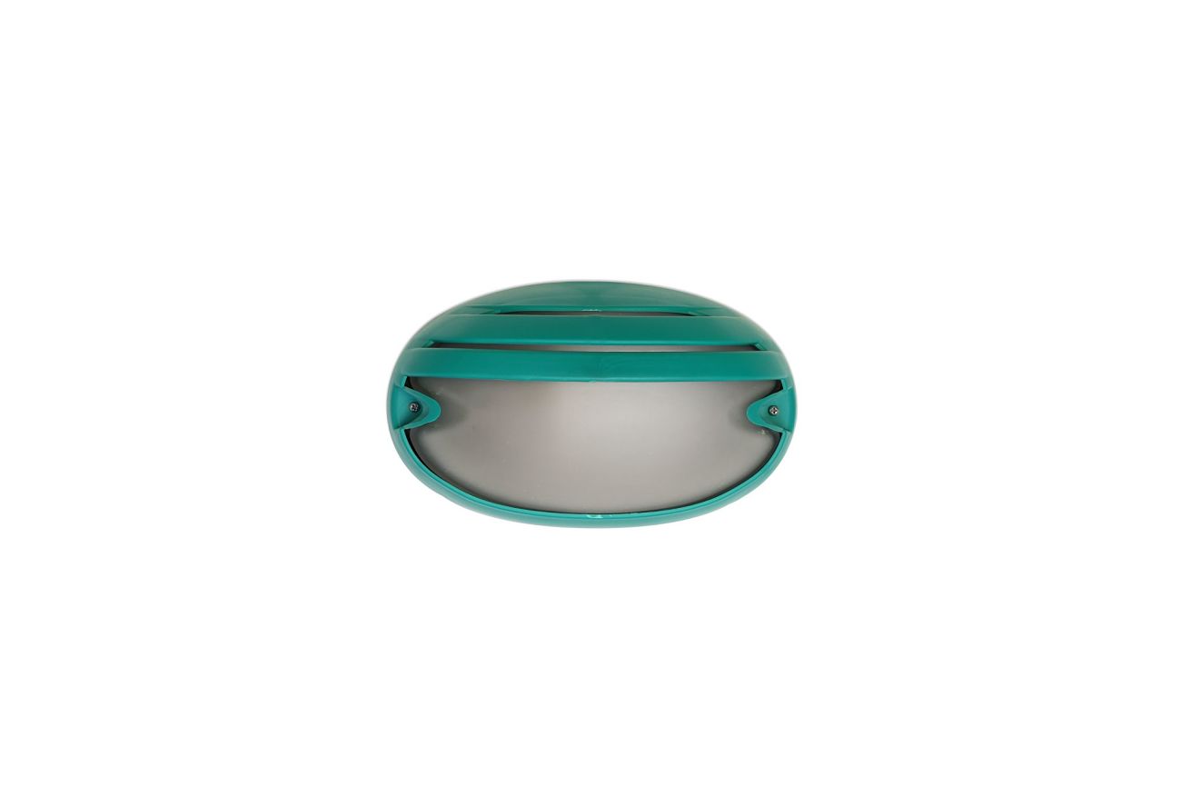 Tortuga oval con visera verde - Agua Clara